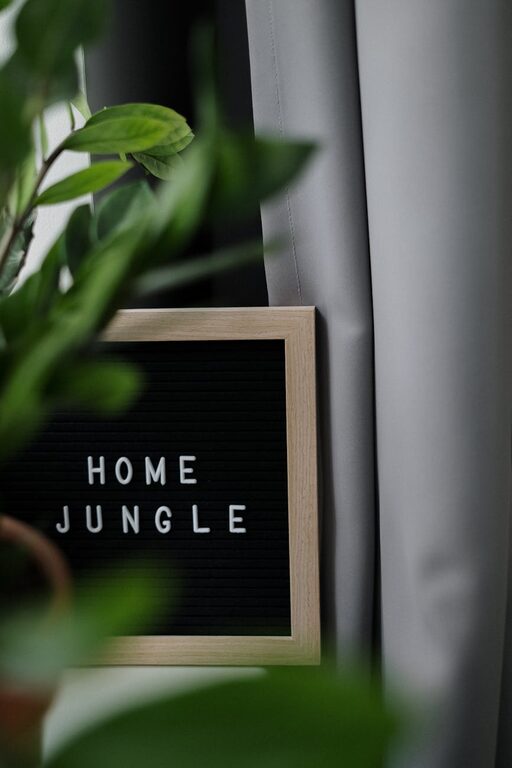 How to Refresh Your Home with Plants: Simple Tips for a Greener Space